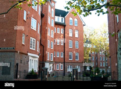 westminster housing contact number|westminster council housing options.